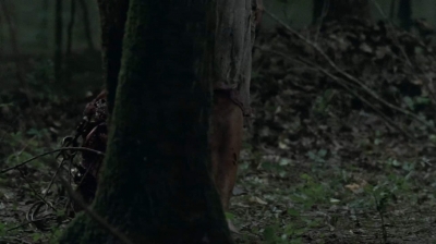 twd403-1495.jpg