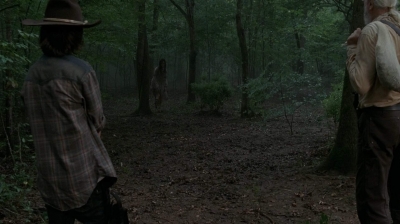 twd403-1496.jpg