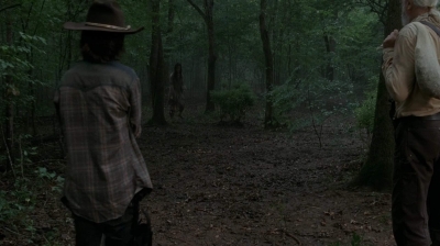 twd403-1497.jpg