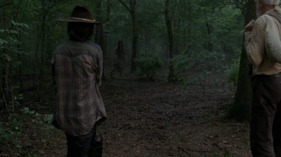 twd403-1498.jpg