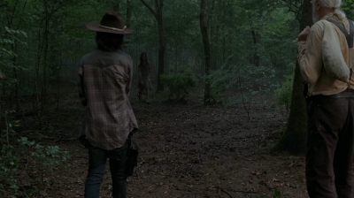 twd403-1500.jpg