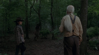 twd403-1520.jpg