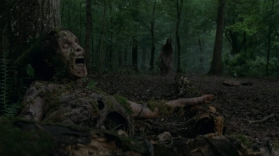 twd403-1535.jpg