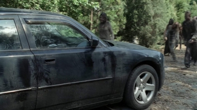 twd403-2419.jpg