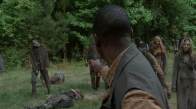 twd403-2510.jpg