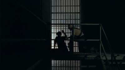 twd403-2741.jpg