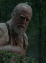 twd403-1378.jpg