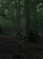 twd403-1433.jpg