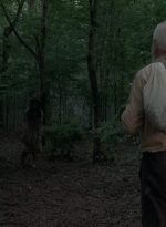 twd403-1520.jpg