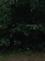 twd403-2599.jpg
