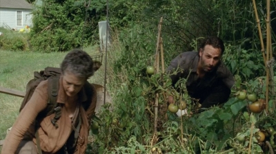 thewalkingdead0404-1472.jpg