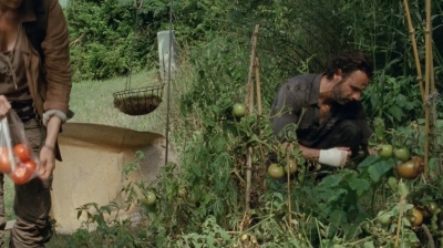 thewalkingdead0404-1474.jpg