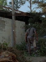 thewalkingdead0404-0851.jpg