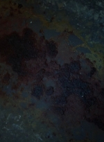 thewalkingdead0404-0908.jpg