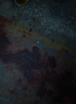 thewalkingdead0404-0909.jpg