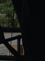 thewalkingdead0404-1335.jpg