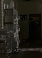 thewalkingdead0404-1357.jpg