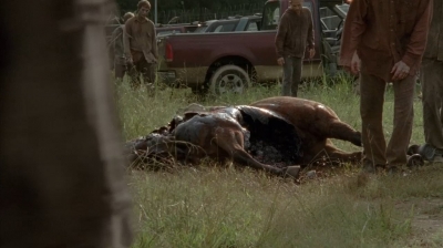 twd0409-0033.jpg