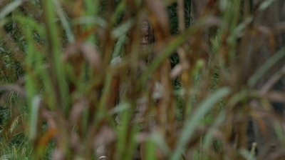 twd0409-0063.jpg