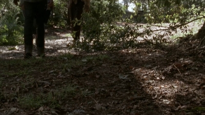 twd0409-1301.jpg