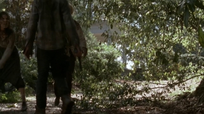 twd0409-1303.jpg