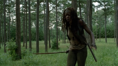 twd0409-2173.jpg