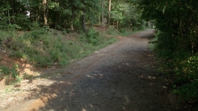 twd0409-2206.jpg
