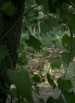 twd0409-0470.jpg
