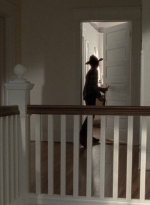 twd0409-0654.jpg