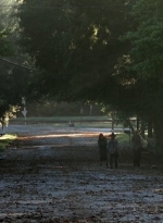 twd0409-1273.jpg