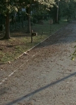 twd0409-1414.jpg