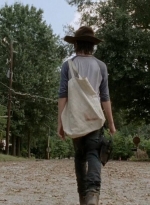 twd0409-1667.jpg