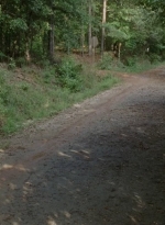 twd0409-2209.jpg
