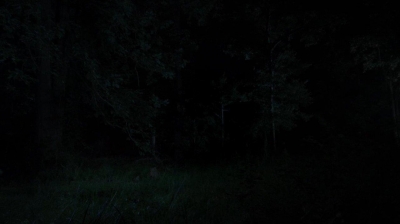 twd0410-0181.jpg