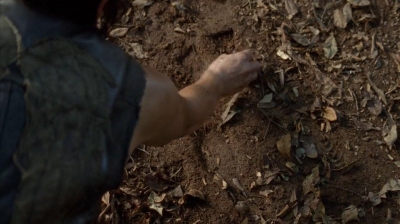 twd0410-0208.jpg