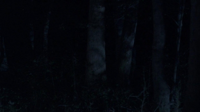 twd0410-0570.jpg