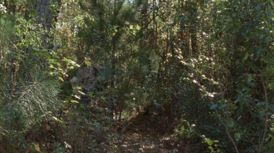twd0410-0668.jpg