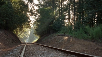 Click to view full size image
==============
twd0410-0783.jpg twd0410-0783.jpg