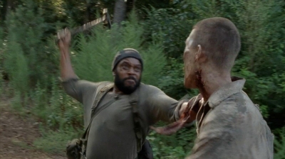twd0410-0799.jpg