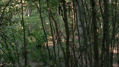twd0410-0801.jpg