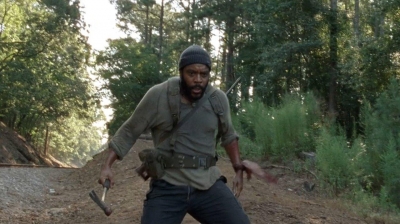 twd0410-0859.jpg