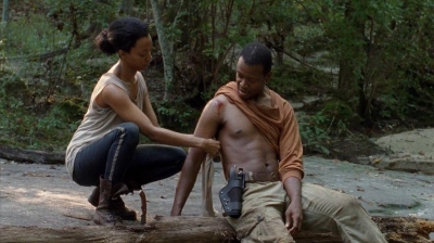 twd0410-1080.jpg