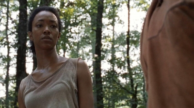 twd0410-1107.jpg