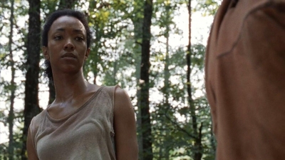 twd0410-1108.jpg