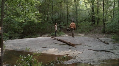 twd0410-1161.jpg