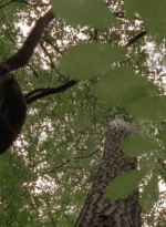 twd0410-0001.jpg