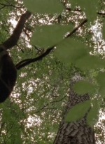 twd0410-0002.jpg
