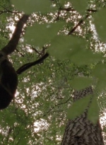 twd0410-0003.jpg