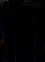 twd0410-0160.jpg