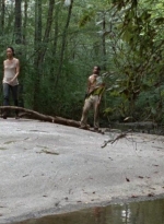 twd0410-1111.jpg